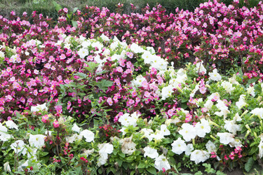 Similar image 6181725