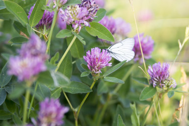 Similar image 6181726