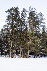 Similar image 6181727