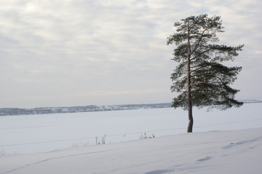 Similar image 6181728