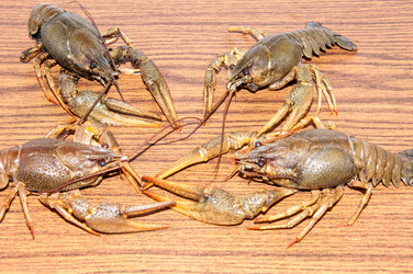 Similar image 6181772