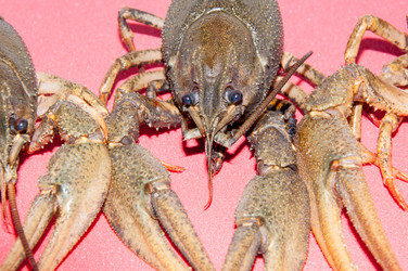 Similar image 6181779