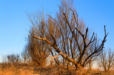 Similar image 6181869