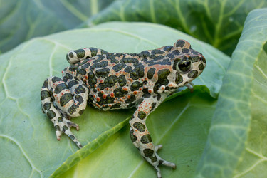 Similar image 6181962