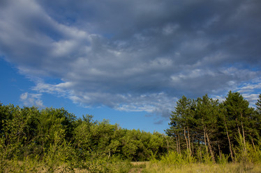 Similar image 6181963