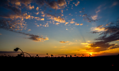 Similar image 6181968