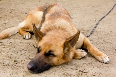 Similar image 6182356