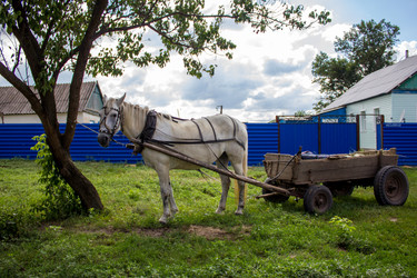 Similar image 6182358