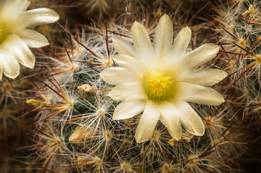 Similar image 6182425