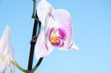 Similar image 6182491