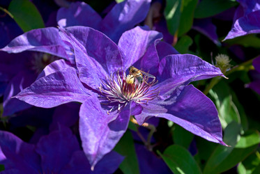 Similar image 6182493