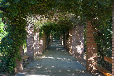 Similar image 6182517