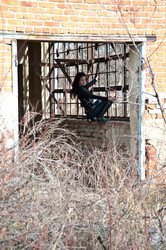 Similar image 6182526