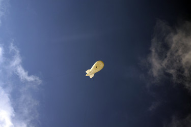 Similar image 6183223