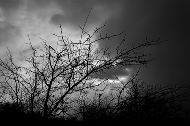 Similar image 6183582