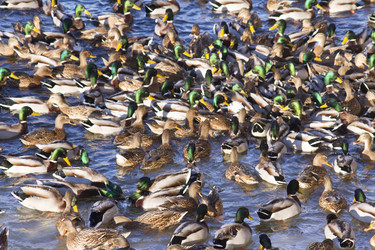 Similar image 6183738