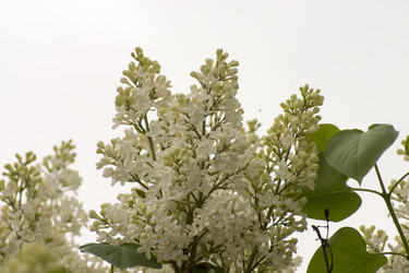 Similar image 6183750