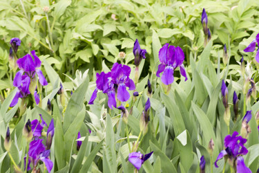 Similar image 6183751