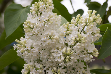 Similar image 6183752