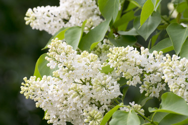 Similar image 6183753