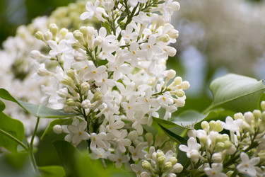 Similar image 6183754