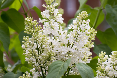 Similar image 6183755