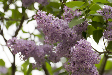 Similar image 6183756