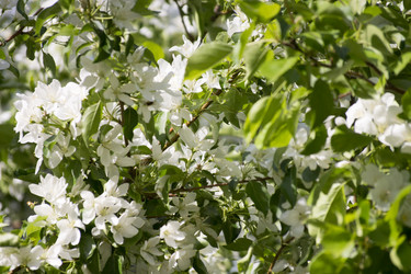 Similar image 6183757