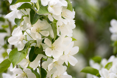 Similar image 6183759