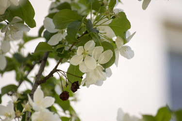 Similar image 6183760