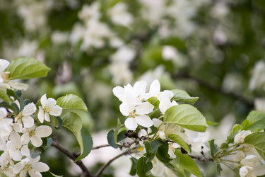 Similar image 6183761