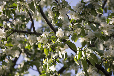 Similar image 6183762