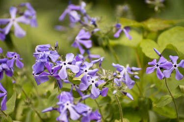 Similar image 6183763