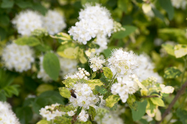 Similar image 6183764