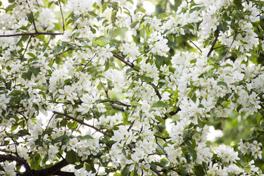 Similar image 6183765