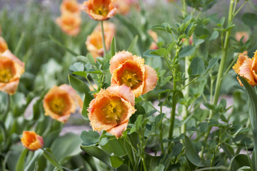 Similar image 6183776