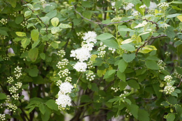 Similar image 6183777