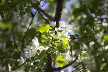 Similar image 6183779