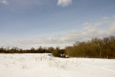 Similar image 6183780