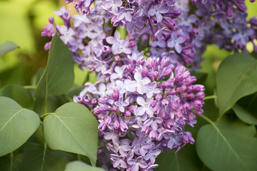 Similar image 6183781