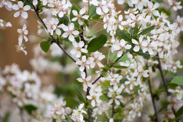 Similar image 6183782