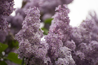 Similar image 6183784