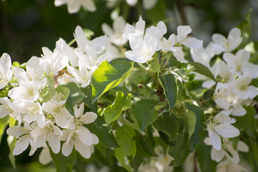 Similar image 6183785