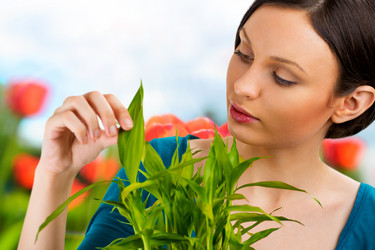 Similar image 6183867