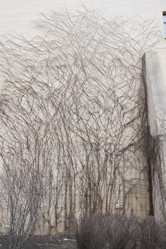 Similar image 6183995