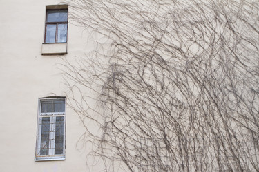 Similar image 6183996