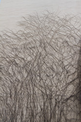 Similar image 6183998