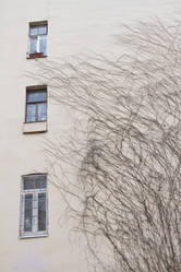 Similar image 6183999