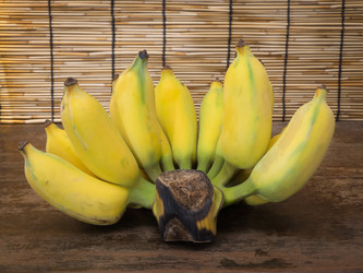 Similar image 6184002