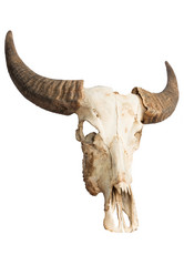 Similar image 6184009